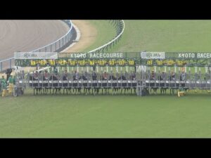2023 QUEEN ELIZABETH II CUP (G1) | JRA Official