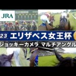 【マルチアングル】2023年エリザベス女王杯「ジョッキーカメラ」 | ブレイディヴェーグ・ジェラルディーナ・ディヴィーナ | JRA公式