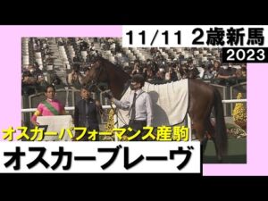 《2023年 新馬》浜中俊騎手「ポテンシャルが高い」オスカーブレーヴが逃げ切り勝ち！　11月11日(土)京都芝1800ｍ　実況：石田一洋【カンテレ公式】