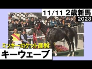 《2023年 新馬》和田竜二騎手「競馬をよく分かっている」８番人気のキーウェーブが直線で抜け出し勝利！　11月11日(土)京都芝1600ｍ　実況：川島壮雄【カンテレ公式】