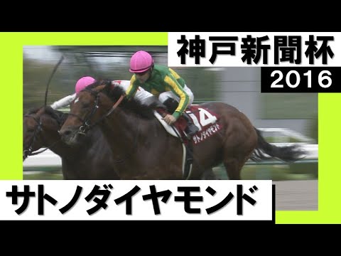 2016年 神戸新聞杯 (GⅡ) サトノダイヤモンド　実況：吉原功兼【カンテレ公式】
