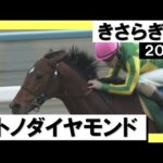 2016年 きさらぎ賞 (GⅢ) サトノダイヤモンド 実況:川島壮雄【カンテレ公式】