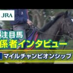 【注目馬 関係者インタビュー】2023年 マイルチャンピオンシップ|JRA公式
