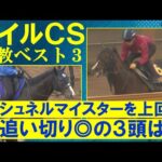 【「1週前に自己ベスト更新!」連覇を狙うセリフォスは?GⅠ制覇を狙うあの注目馬もランクイン】競馬エイト・高橋賢司トラックマンの調教解説<マイルCS(GⅠ)>
