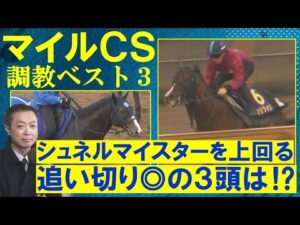 【「1週前に自己ベスト更新！」連覇を狙うセリフォスは？ＧⅠ制覇を狙うあの注目馬もランクイン】競馬エイト・高橋賢司トラックマンの調教解説＜マイルＣＳ(ＧⅠ)＞