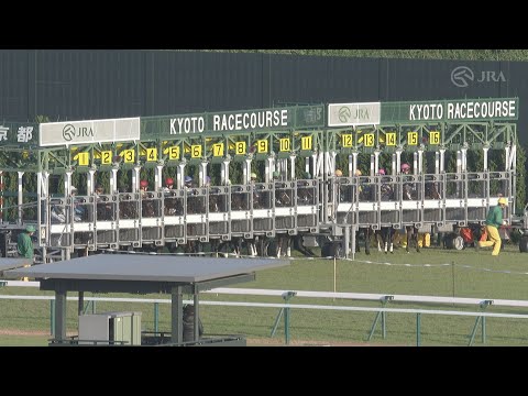 2023 MILE CHAMPIONSHIP (G1) | JRA Official