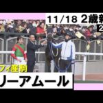 《2023年 新馬》今村聖奈騎手「めちゃくちゃはじけてくれました」マリーアムールが鋭く伸びて快勝! 11月18日(土)京都芝1200m 実況:岡安譲【カンテレ公式】