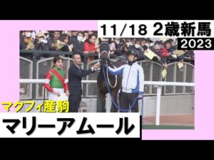《2023年 新馬》今村聖奈騎手「めちゃくちゃはじけてくれました」マリーアムールが鋭く伸びて快勝！　11月18日(土)京都芝1200ｍ　実況：岡安譲【カンテレ公式】