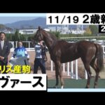 《2023年 新馬》“大魔神”佐々木オーナーゆかりの良血シヴァースがデビュー勝ち!ルメール騎手「2歳馬には見えなかった」 11月19日(日)京都芝1600m 実況:岡安譲【カンテレ公式】