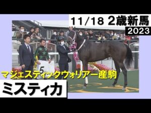 《2023年 新馬》岩田望来騎手「上のクラスでも楽しみ」ミスティカが差し切りV！　11月18日(土)京都ダート1400ｍ　実況：岡安譲【カンテレ公式】