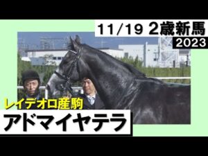 《2023年 新馬》友道調教師「ゆかりの血統で勝ててよかった」アドマイヤテラ快勝！　11月19日(日)京都芝2000ｍ　実況：岡安譲【カンテレ公式】