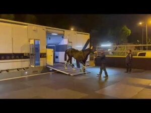 【2023香港ヴァーズ出走】シャフリヤールが香港に到着｜JRA公式