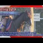 2023 Japan Cup (G1) Training Report of Contenders | JRA Official [ENG sub]