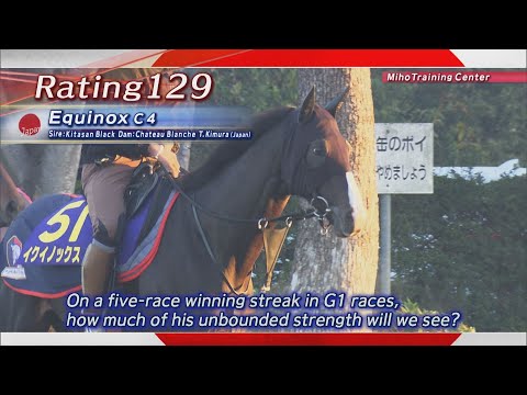 2023 Japan Cup (G1) Training Report of Contenders | JRA Official [ENG sub]