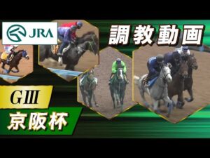 【調教動画】2023年 京阪杯｜JRA公式