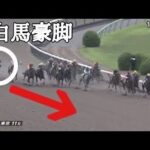 ソダシと同じ白馬のハヤヤッコが豪脚をかましました💨