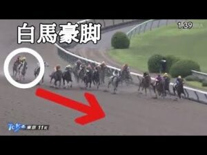 ソダシと同じ白馬のハヤヤッコが豪脚をかましました💨