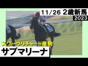 《2023年 新馬》岩田望来騎手「新馬戦としては言うことない」サブマリーナが人気に応えてＶ！　11月26日(日)京都芝1800ｍ　実況：石田一洋【カンテレ公式】