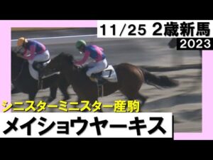 《2023年 新馬》横山和生騎手「上手に競馬してくれました」メイショウヤーキスがデビュー勝ち！　11月26日(日)京都ダート1200ｍ　実況：川島壮雄【カンテレ公式】