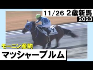 《2023年 新馬》松山弘平騎手「高い能力を持っています」マッシャーブルムがデビュー勝ち！　11月26日(日)京都ダート1800ｍ　実況：石田一洋【カンテレ公式】
