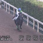 【京阪杯2023】追い切り/動きを見極め勝利に近づけ