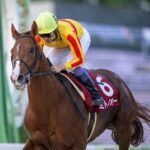 ミトノオー、松山弘平との新コンビで浦和記念へ