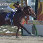 フェブラリー2連覇カフェファラオ引退、種牡馬入り