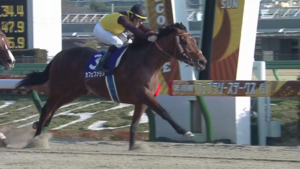 フェブラリー2連覇カフェファラオ引退、種牡馬入り