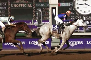 【BCクラシック】デルマソトガケ2着大健闘！1番人気ウシュバテソーロは5着