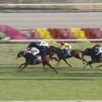 【マイルCS 2023】結果・動画/ナミュールが鮮やかに差し切る