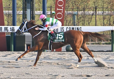 【みやこS】セラフィックコールが末脚で一気圧勝！無傷５連勝でレース史上初の３歳馬Ｖ