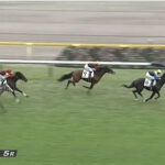 【2歳新馬】アパパネの息子がデビュー!その名も・・・結果は?