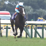 【ジャパンC】 イクイノックスは馬じゃない何かやな 他
