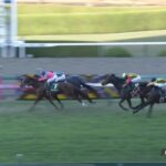 【京都2歳ステークス2023】出走予定馬・騎手/王道を進め