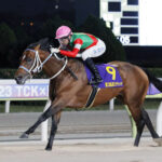 【JBCクラシック】キングズソードが完勝!G1初挑戦初制覇