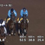 【武蔵野ステークス2023】追い切り/動きを見極め勝利に近づけ