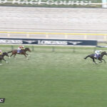 スターズオンアース3着