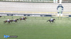 スターズオンアース3着