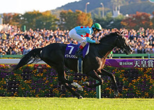 【競馬予想】[5] 第43回ジャパンカップ(GⅠ) /2023