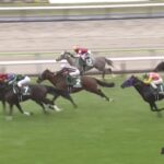 【福島記念2023】結果・動画/ホウオウエミーズがハナ差の大接戦を制す