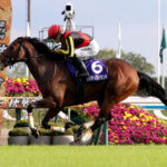 【競馬予想】[2] 第43回ジャパンカップ(GⅠ) /2023