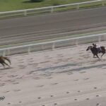 【JBCレディスクラシック2023】結果・動画/アイコンテーラーが突き抜け圧勝