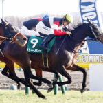 【競馬予想】[3]第48回エリザベス女王杯(GⅠ) /2023