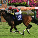 イクイノックスは4キロ差のリバティアイランドに勝てると思う?