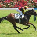 【競馬予想】[4]第48回エリザベス女王杯(GⅠ) /2023