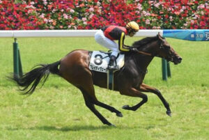 【エリザベス女王杯】1枠1番に入ったブレイディヴェーグってどうなの？