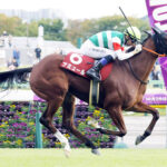 【競馬予想】[2] 第40回マイルチャンピオンシップ(GⅠ) /2023