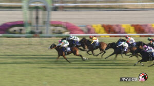 とりあえずマイルCSはどんな反省したらええんや