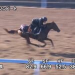 【京王杯2歳ステークス2023】追い切り/抜群の動きを見せたのは