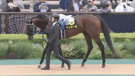 【競馬予想】第28回武蔵野ステークス(GⅢ) /2023